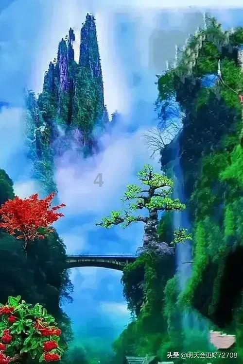 创作猫